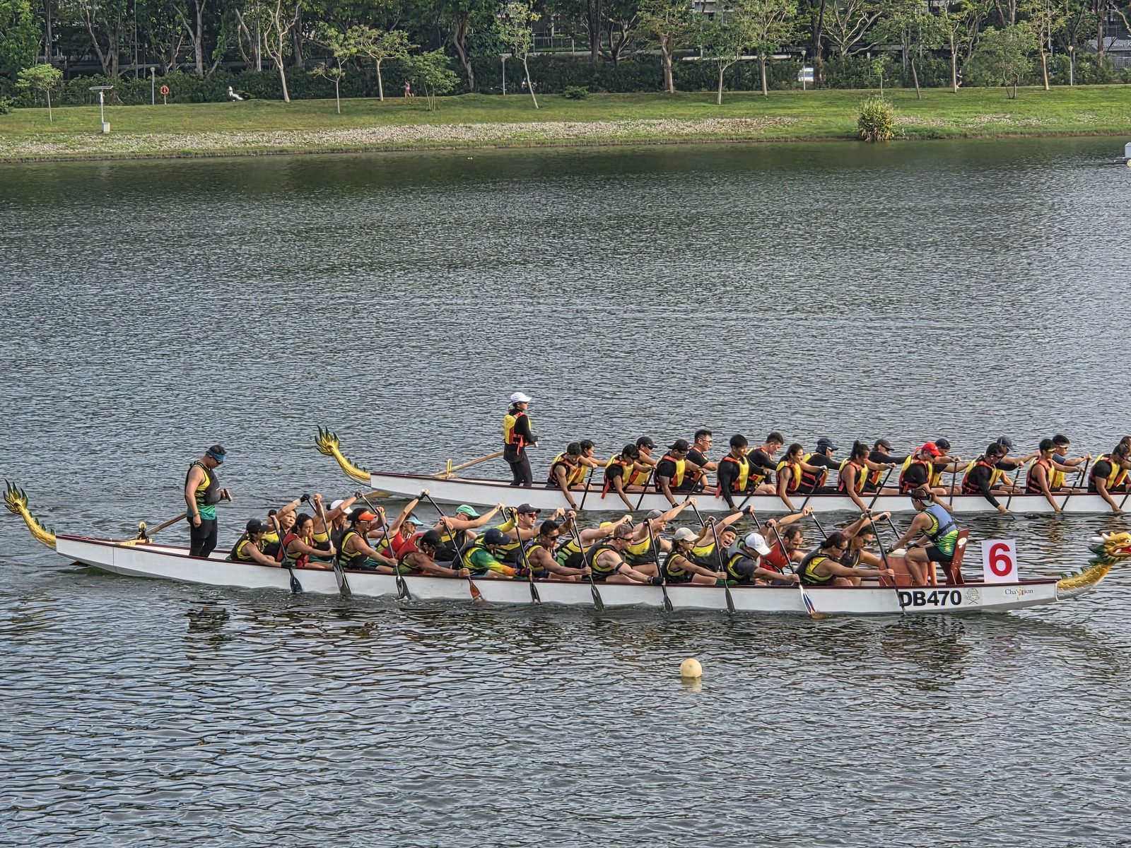 Austcham dragon boat crew racing at the Singapore Dragon Boat Festival